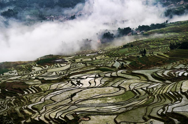 Cultural Landscape Of Honghe Hani Rice Terraces - CULTURE - Yunnan Express