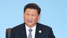 Xi says China's battle against COVID-19 making visible progress 