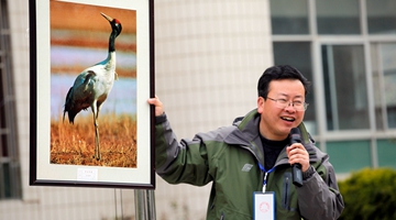 Wang Zhaorong’s life-long career as a crane protector 