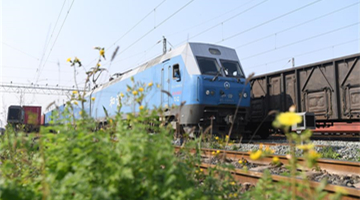 Recovering operation of China-Europe freight trains helps trade of SW China