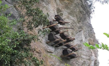 DNA study: hanging-coffin buriers in NE Yunnan are Baiyue people