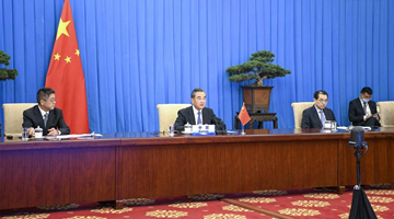 Chinese state councilor attends video meeting of SCO FMs 