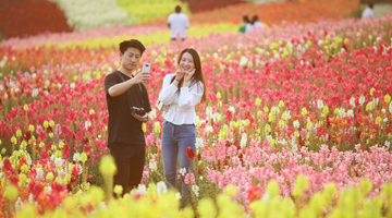 China's young tourists report changing post-epidemic travel preferences