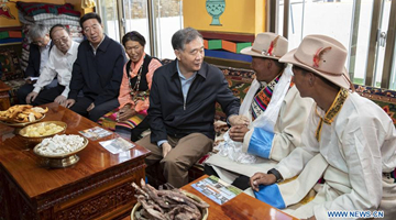 Top political advisor stresses consolidation of Tibet's enduring peace, stability 
