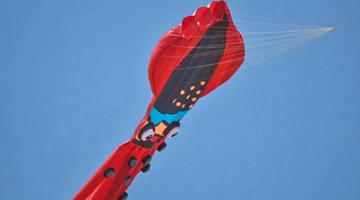  Gu Feng: Pilot stunt-kite flyer in Kunming