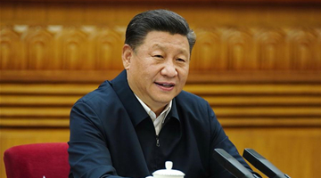 Xi urges efforts to spur vitality of market entities, promote entrepreneurship