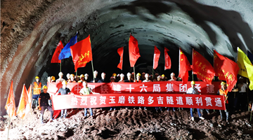 14.5-km tunnel on China-Laos railway drilled through 