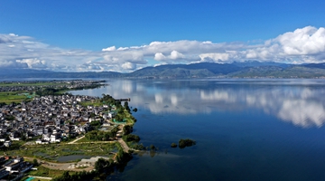 Dali forges ecological corridor for Erhai Lake