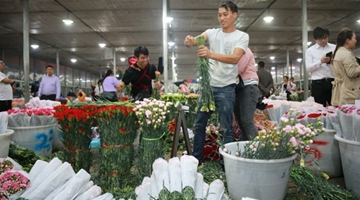 Yunnan develops street market into wind vane of flower buisness 