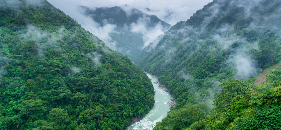 Dive in the rainforest in Yunnan