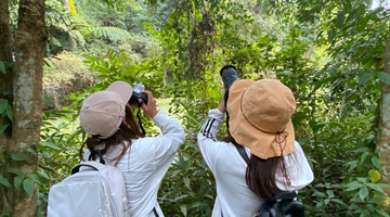 Yunnan bio-diversity recorded by media professionals