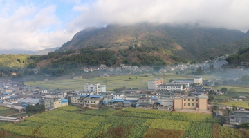 Zhenkang: Contract farming enriches border village