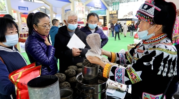 Int’l tea expo held in Yunnan to boost trade, industry
