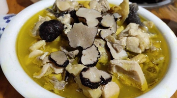 Truffle with chicken: A natural delicacy