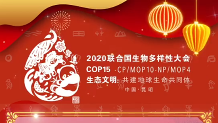 Welcome to Yunnan for 2020 UN Biodiversity Conference (COP 15)