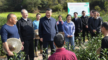 Xi Focus: Xi stresses more efforts to serve, integrate into new development paradigm