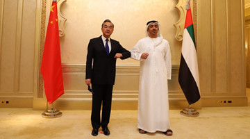 China, UAE FMs agree to enhance cooperation in varied fields 
