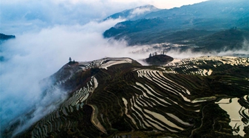 Hani man feels attached to terraced fields