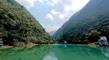 Riverside tropical rainforest seen in south Yunnan