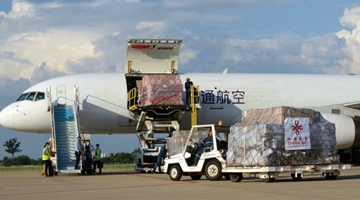 Anti-epidemic supplies donated by Chinese gov't arrive in Laos