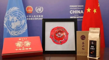 Gifts from Yunnan villagers reach UN Security Council