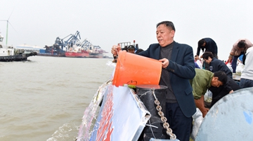 Yangtze protector works to replenish stocks of rare fish