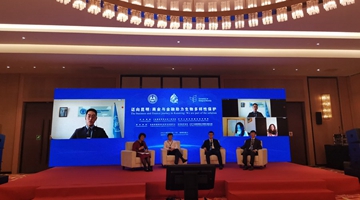 COP15: Subsidiary event on biodiversity kicks off in Kunming