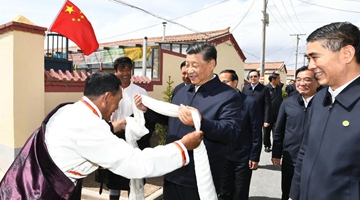 Xi Jinping calls for ecological protection on Qinghai-Tibet Plateau