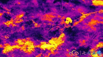  Thermal imaging used to monitor elephants at night
