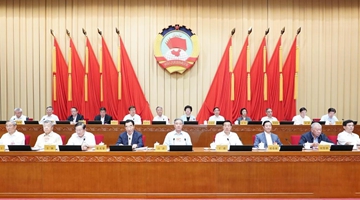 National political advisors discuss implementing five-year plan