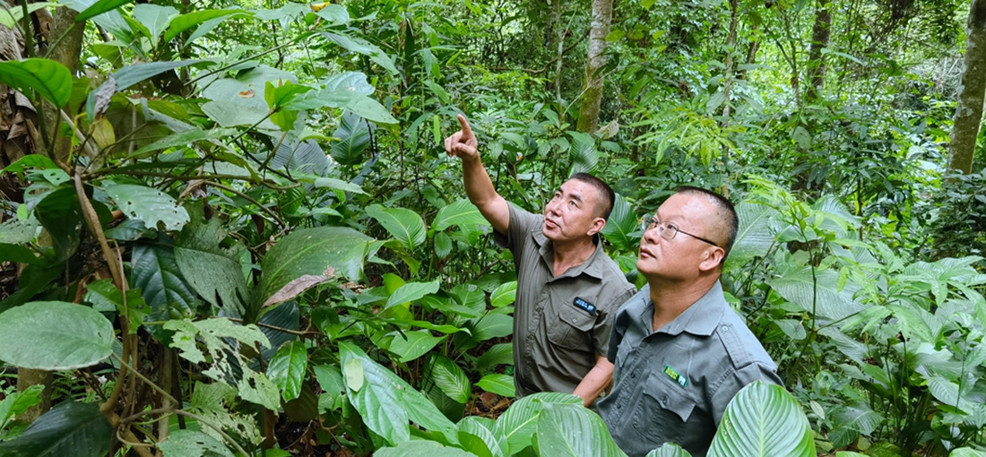 China, Laos unite to boost wildlife protection
