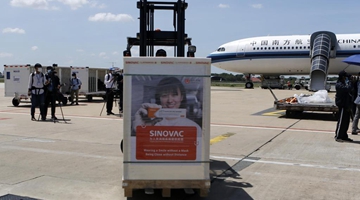 Cambodia receives another batch of China's Sinovac COVID-19 vaccine