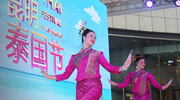 Thai festival takes place in Kunming on Lesser Heat