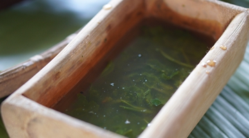 Layou: Cold-dressed tea of Jinuo people