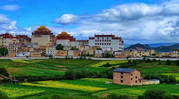 Spend the coolest summer vacation in Tibetan hotels of Shangri-La