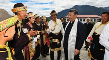 Xi visits Tibetan family, praises hard work