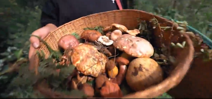 COP15: How are wild mushrooms served on the dining table?