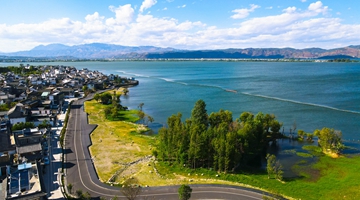Eco-corridor adds beauty to Lake Erhai