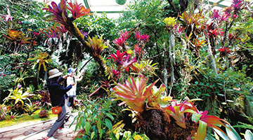 COP15: Palace displays 2,500 species of plants