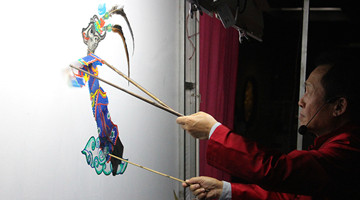 Yunmeng shadow play: Art of light and shadow