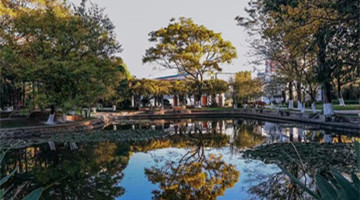 Hi Kunming: Yuyuan garden, a tranquil place in Kunming