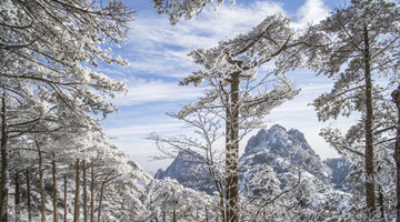 First snow decorates Mt. Huangshan
