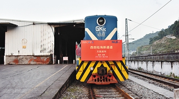 Sea-rail route helps speed up overseas shipments from western China