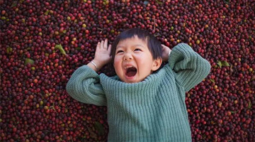 No Poverty Land 9: Best Coffee is in Yunnan