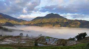 Misty terraces in Mojiang county
