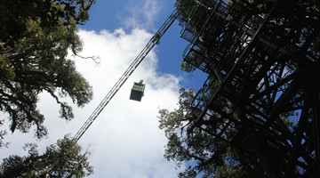 55-meter tower built in Mt. Ailao for botanists 
