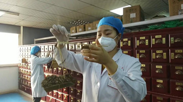TCM helps fight against COVID-19 resurgence in Xi'an, China
