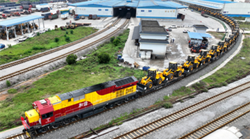New cross-border freight train between China and Vietnam starts operation