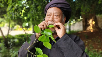 Mojiang senior turns leaves into musical instrument 