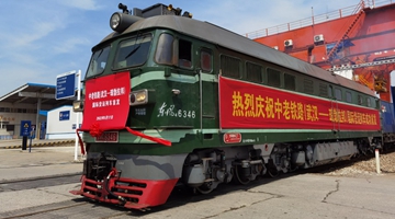 China's Hubei launches first freight train via China-Laos Railway